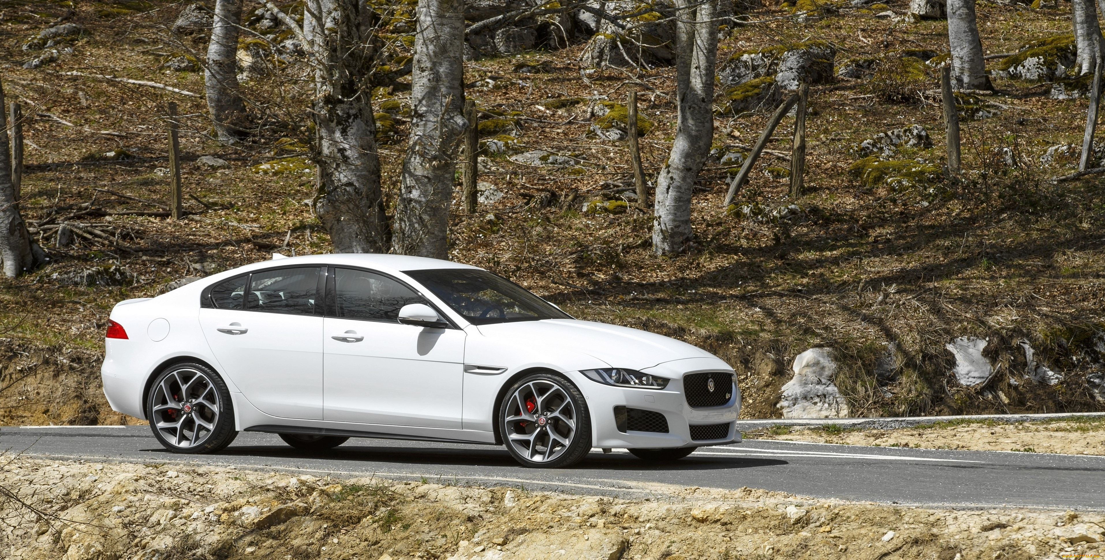 , jaguar, 2015, xe, s